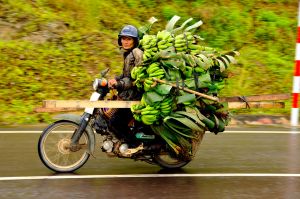 Banana-Bike,-Vietnam.jpg