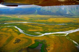 Denali-Park,-Yukon-c84.jpg