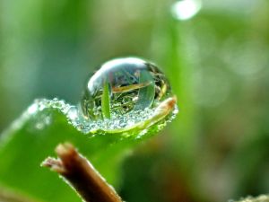 Drop-w-droplets-c27.jpg