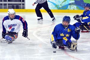 Para-Olympic-sledge-hockey-c75.jpg