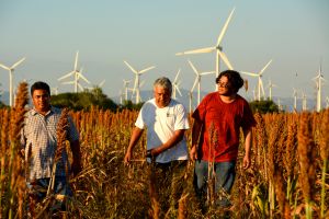 Farmers,-wind-farm,-Mexico.jpg