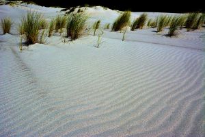 Sand-dune.jpg